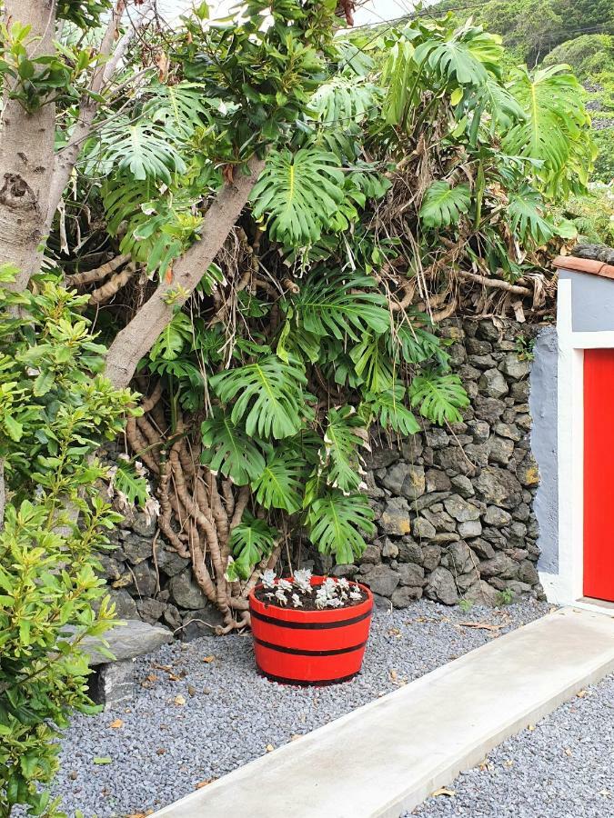 Calheta de NesquimCasinha De Nesquim别墅 外观 照片