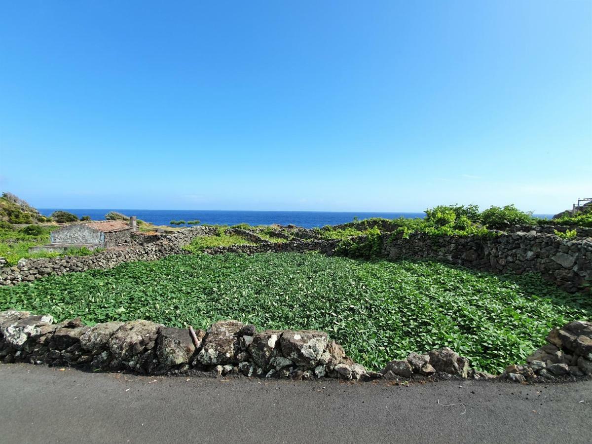 Calheta de NesquimCasinha De Nesquim别墅 外观 照片